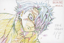 Load image into Gallery viewer, Kimetsu no Yaiba - Shinazugawa Sanemi - Miya Fushikawa Exhibition Original Picture Postcard - Character Emaki Cafe in ufotable cafe (Set of 10) - Cuchiwaii
